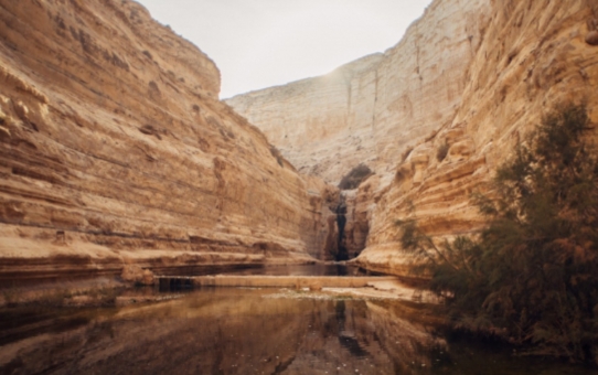 Die Täuschungen während der Endzeit - Bibelgespräch 02. Juni 2018