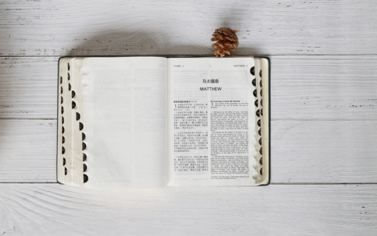 Der Schlüssel zur Einheit – Bibelgespräch 27. Oktober 2018