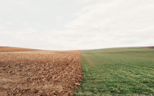 Wenn Konflikte entstehen – Bibelgespräch 17. November 2018