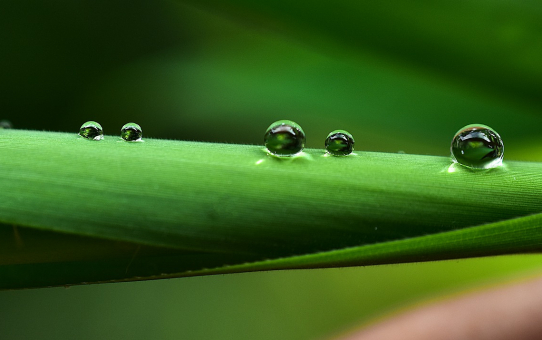 Bekanntmachungen am 29.1.22