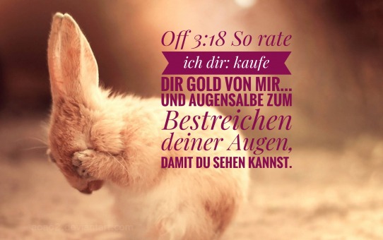 Der letzte Weltkrieg und der einzige Ausweg