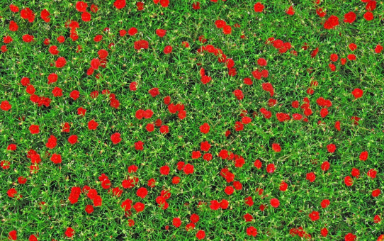 Die Ressourcen des Himmels sind grenzenlos